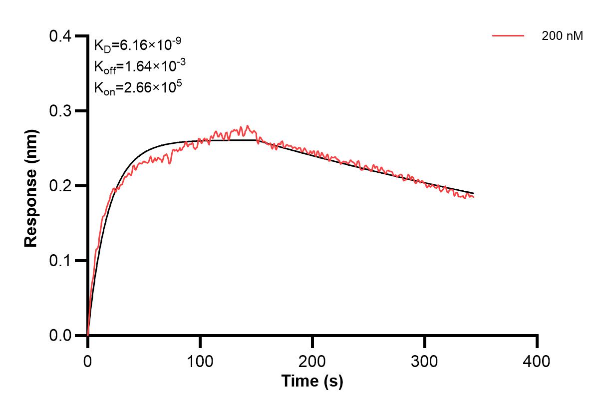 Affinity and Kinetic Characterization of 66378-4-PBS Affinity and Kinetic Characterization of 66378-4-PBS