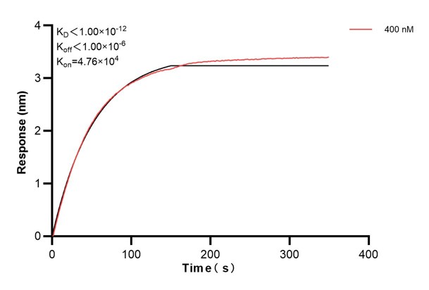 Affinity and Kinetic Characterization of 66380-2-PBS Affinity and Kinetic Characterization of 66380-2-PBS