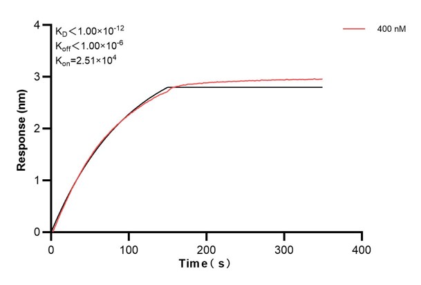 Affinity and Kinetic Characterization of 66380-3-PBS