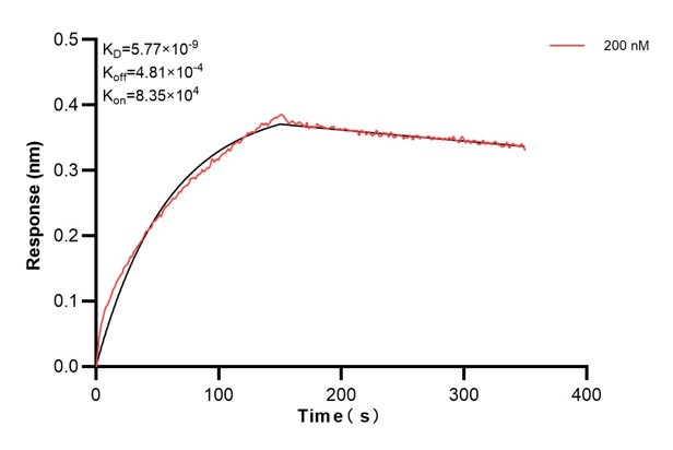 Affinity and Kinetic Characterization of 66390-3-PBS