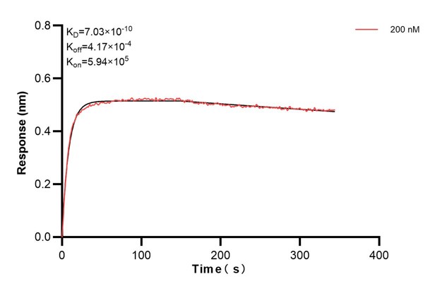 Biolayer interferometry (BLl) kinetic assay of 66418-1-Ig against Human NFKBIA was performed. The affinity constant is 0.703 nM... Affinity and Kinetic Characterization of 66418-1-Ig