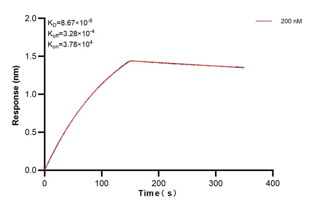 Affinity and Kinetic Characterization of 66449-1-PBS