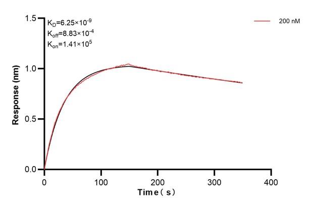 Affinity and Kinetic Characterization of 66449-2-PBS