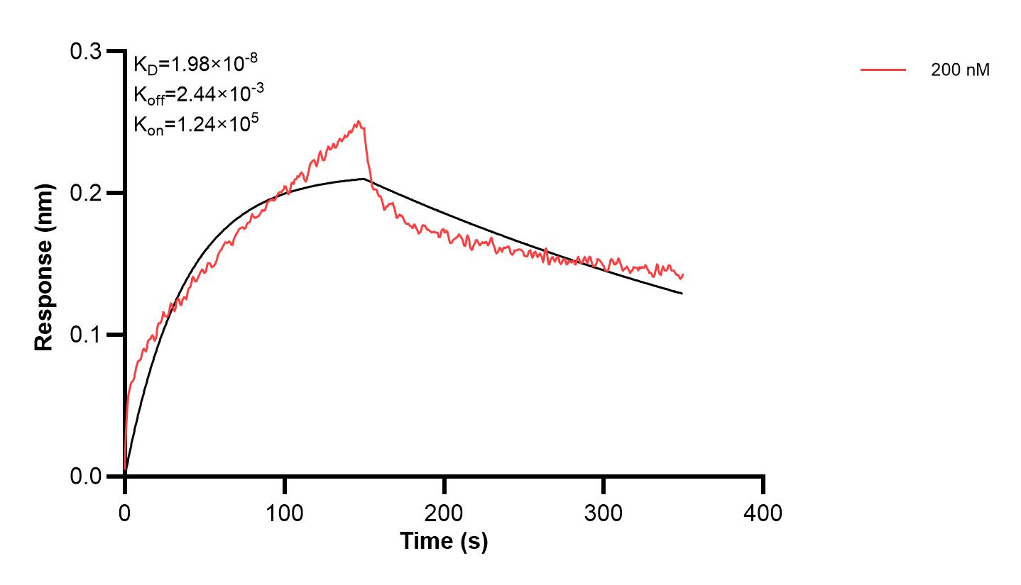 Affinity and Kinetic Characterization of 66456-2-PBS