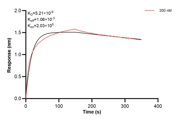 Affinity and Kinetic Characterization of 66497-1-Ig Affinity and Kinetic Characterization of 66497-1-Ig