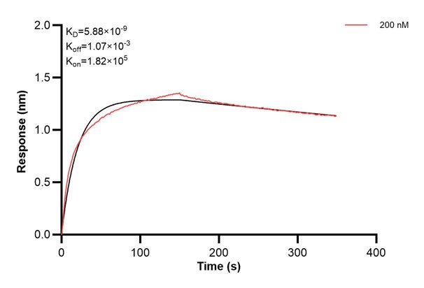 Affinity and Kinetic Characterization of 66497-2-PBS Affinity and Kinetic Characterization of 66497-2-PBS