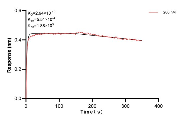 Affinity and Kinetic Characterization of 66571-1-Ig