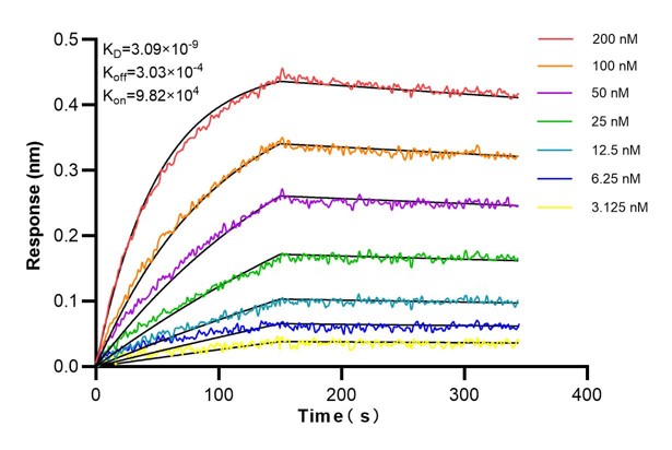 Affinity and Kinetic Characterization of 66574-2-PBS