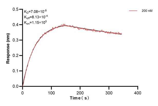 Affinity and Kinetic Characterization of 66597-3-PBS