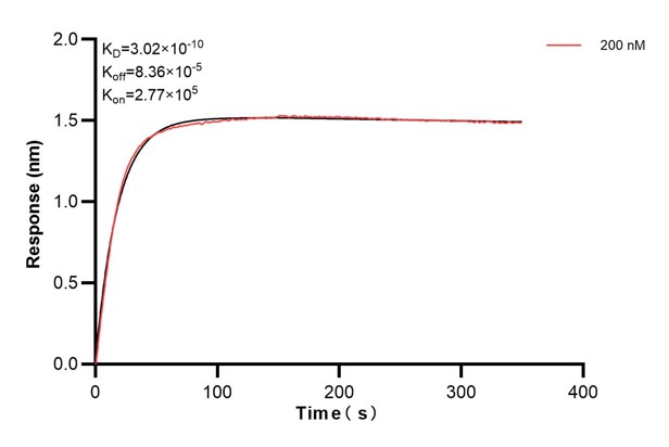 Affinity and Kinetic Characterization of 66635-3-PBS Affinity and Kinetic Characterization of 66635-3-PBS