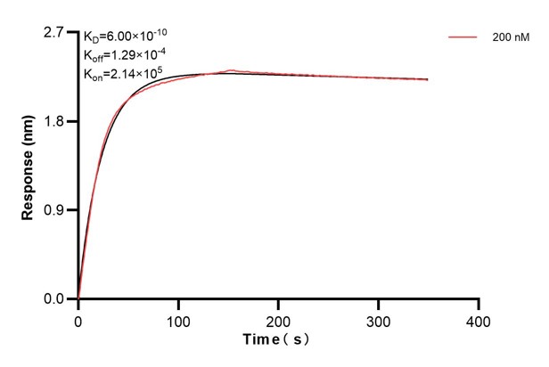 Affinity and Kinetic Characterization of 66635-5-PBS Affinity and Kinetic Characterization of 66635-5-PBS