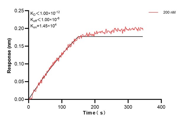 Biolayer interferometry (BLl) kinetic assay of <a class='green' href='/productredirect?CatalogNo=66659-3-Ig' target='_blank'>66659-3-Ig</a> against Human POU2AF1 was performed. The affinity constant is below 1 pM... Affinity and Kinetic Characterization of 66659-3-PBS