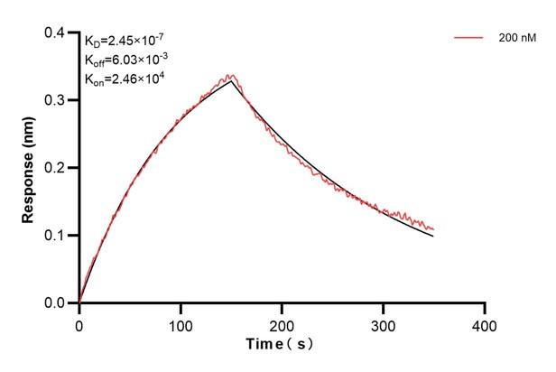 Affinity and Kinetic Characterization of 66663-3-PBS