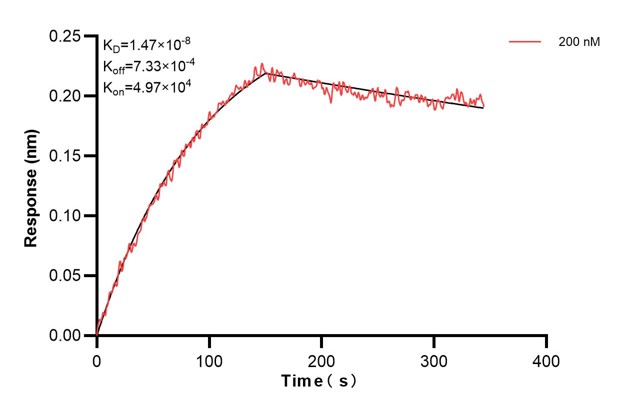 Affinity and Kinetic Characterization of 66669-2-PBS