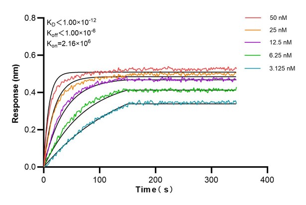 Affinity and Kinetic Characterization of 66682-2-PBS