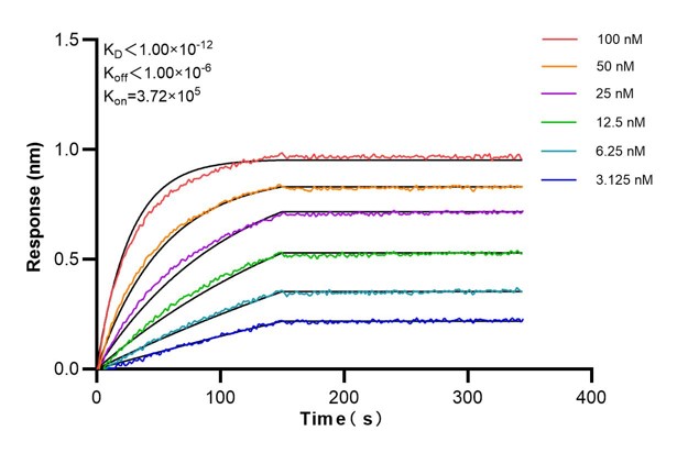 Affinity and Kinetic Characterization of 66682-4-PBS