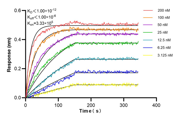 Affinity and Kinetic Characterization of 66682-6-PBS