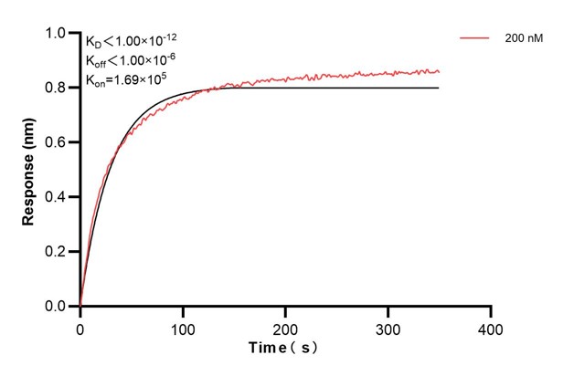 Biolayer interferometry (BLl) kinetic assay of <a class='green' href='/productredirect?CatalogNo=66747-6-Ig' target='_blank'>66747-6-Ig</a> against Human Androgen receptor was performed. The affinity constant is below 1 pM. Affinity and Kinetic Characterization of 66747-6-PBS