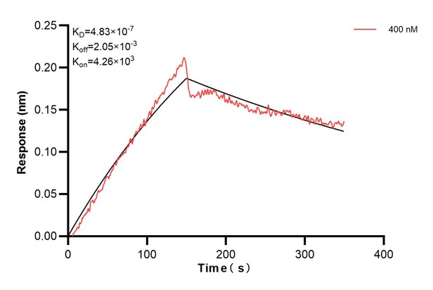Affinity and Kinetic Characterization of 66800-2-PBS