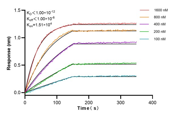 Affinity and Kinetic Characterization of 66810-3-PBS