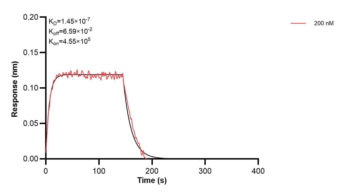 Affinity and Kinetic Characterization of 66836-3-PBS