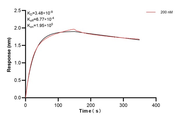 Affinity and Kinetic Characterization of 66846-2-PBS