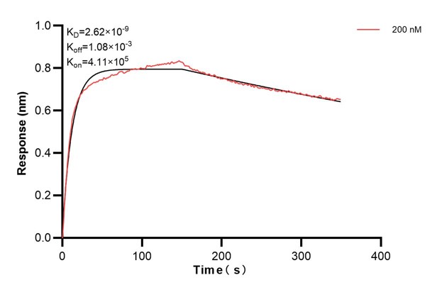 Affinity and Kinetic Characterization of 66860-3-PBS