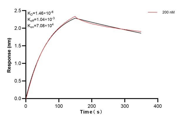Affinity and Kinetic Characterization of 66860-6-PBS