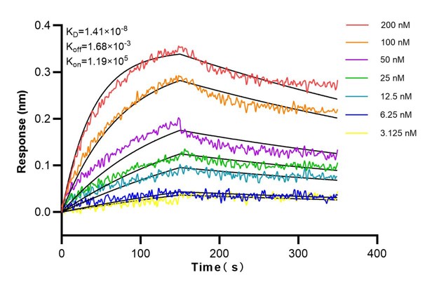 Affinity and Kinetic Characterization of 66867-3-PBS
