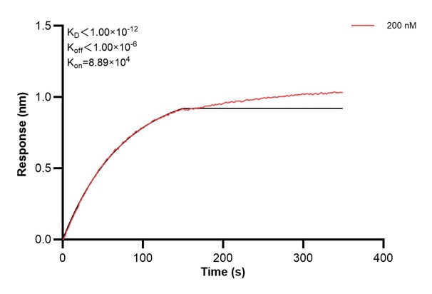 Affinity and Kinetic Characterization of 66899-2-PBS Affinity and Kinetic Characterization of 66899-2-PBS