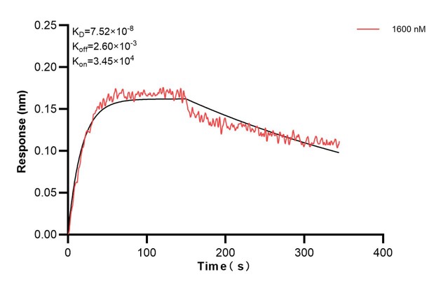 Affinity and Kinetic Characterization of 66913-2-PBS