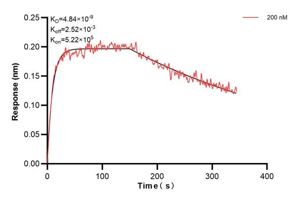 Affinity and Kinetic Characterization of 66914-1-Ig