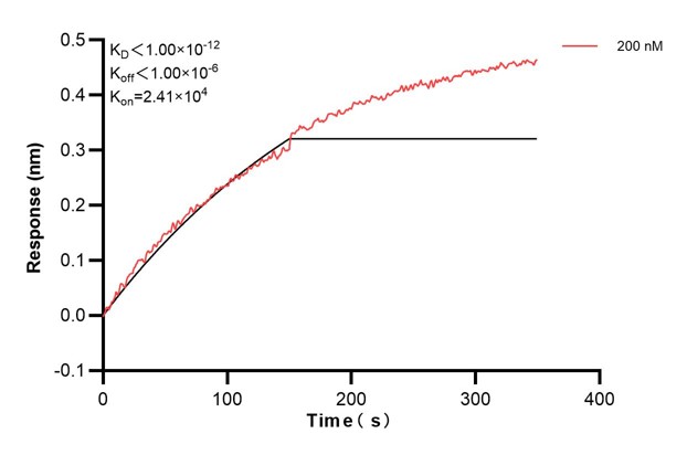 Biolayer interferometry (BLl) kinetic assay of <a class='green' href='/productredirect?CatalogNo=66928-2-Ig' target='_blank'>66928-2-Ig</a> against Human CFTR was performed. The affinity constant is below 1 pM. Affinity and Kinetic Characterization of 66928-2-PBS