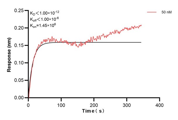 Biolayer interferometry (BLl) kinetic assay of <a class='green' href='/productredirect?CatalogNo=66928-3-Ig' target='_blank'>66928-3-Ig</a> against Human CFTR was performed. The affinity constant is below 1 pM. Affinity and Kinetic Characterization of 66928-3-PBS