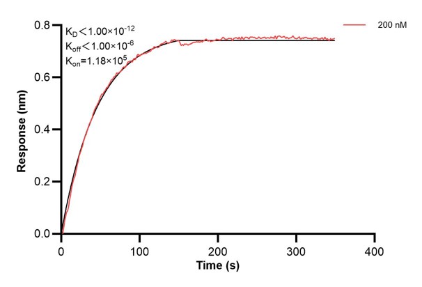 Affinity and Kinetic Characterization of 66932-2-Ig Affinity and Kinetic Characterization of 66932-2-Ig