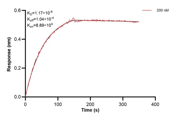 Affinity and Kinetic Characterization of 66932-3-PBS Affinity and Kinetic Characterization of 66932-3-PBS
