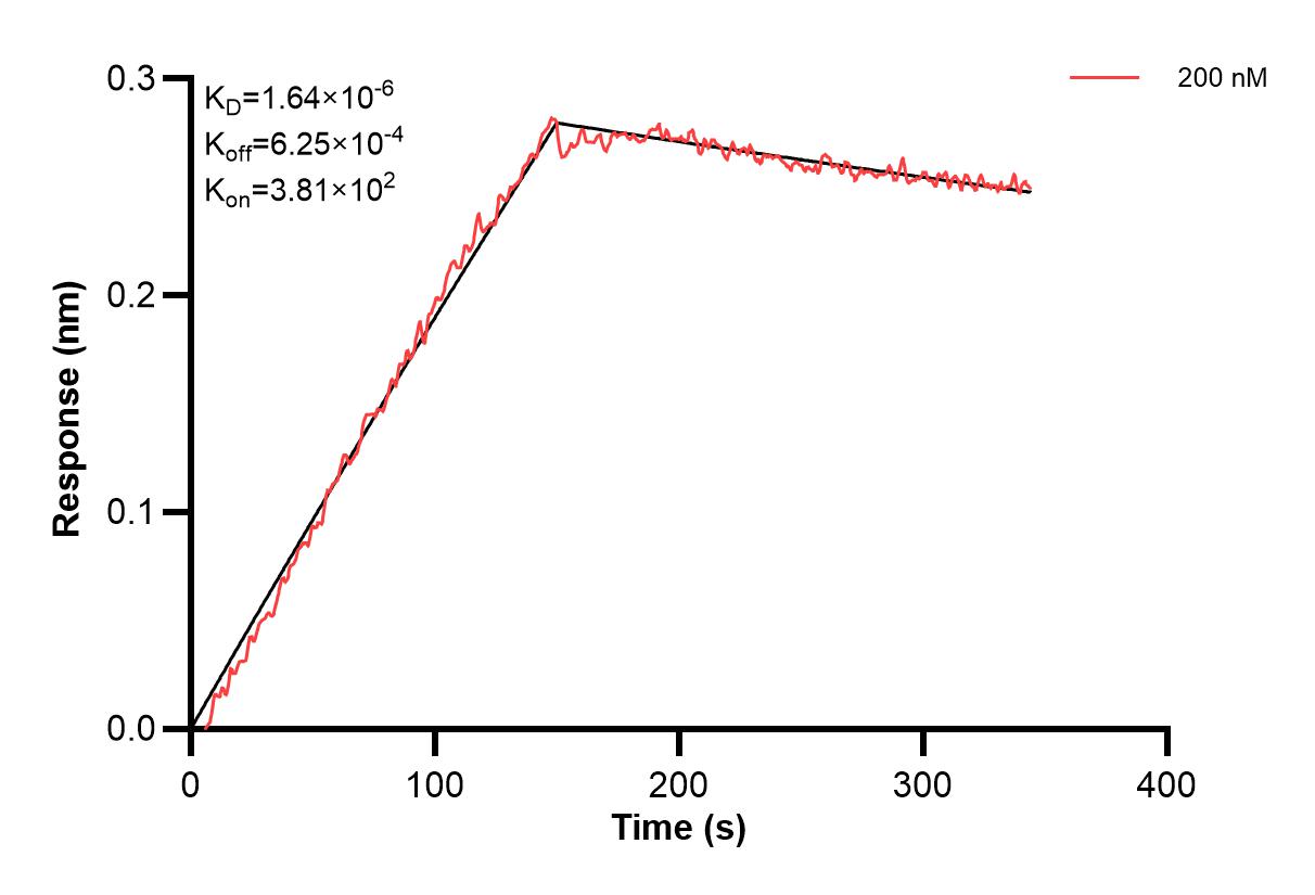 Affinity and Kinetic Characterization of 66992-2-PBS
