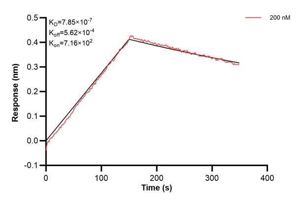 Affinity and Kinetic Characterization of 67008-4-PBS