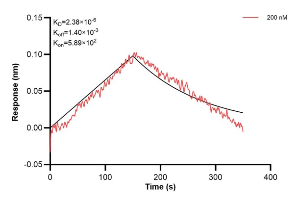 Affinity and Kinetic Characterization of 67008-5-PBS Affinity and Kinetic Characterization of 67008-5-PBS
