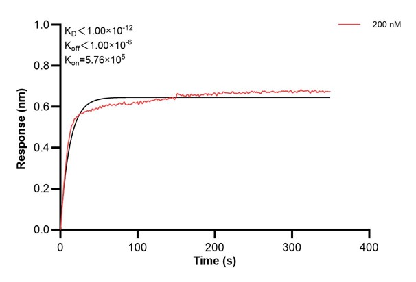 Affinity and Kinetic Characterization of 67016-1-Ig Affinity and Kinetic Characterization of 67016-1-Ig