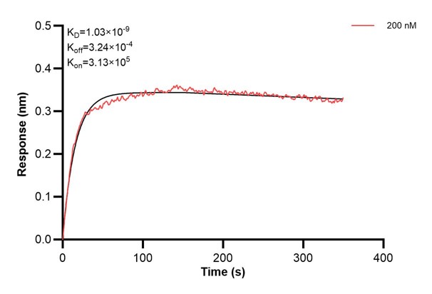 Affinity and Kinetic Characterization of 67016-2-PBS