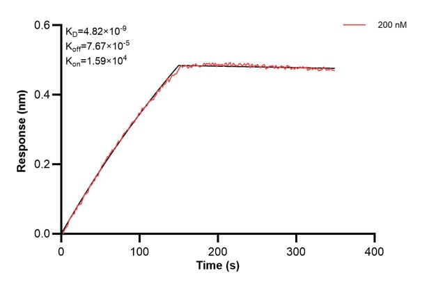 Affinity and Kinetic Characterization of 67038-1-Ig Affinity and Kinetic Characterization of 67038-1-Ig