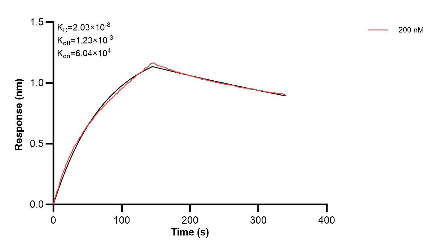 Affinity and Kinetic Characterization of 67063-2-PBS Affinity and Kinetic Characterization of 67063-2-PBS