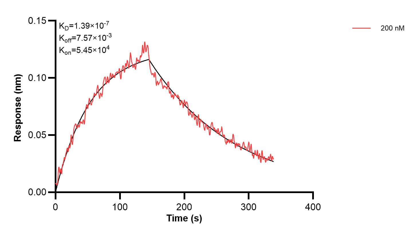 Affinity and Kinetic Characterization of 67063-3-PBS Affinity and Kinetic Characterization of 67063-3-PBS