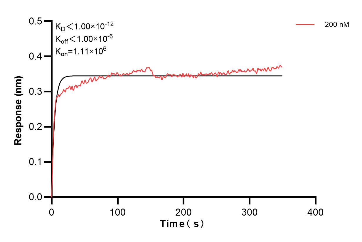 Affinity and Kinetic Characterization of 67129-1-PBS Affinity and Kinetic Characterization of 67129-1-PBS