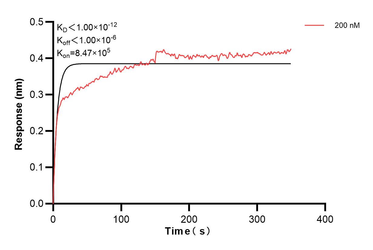 Affinity and Kinetic Characterization of 67129-2-PBS