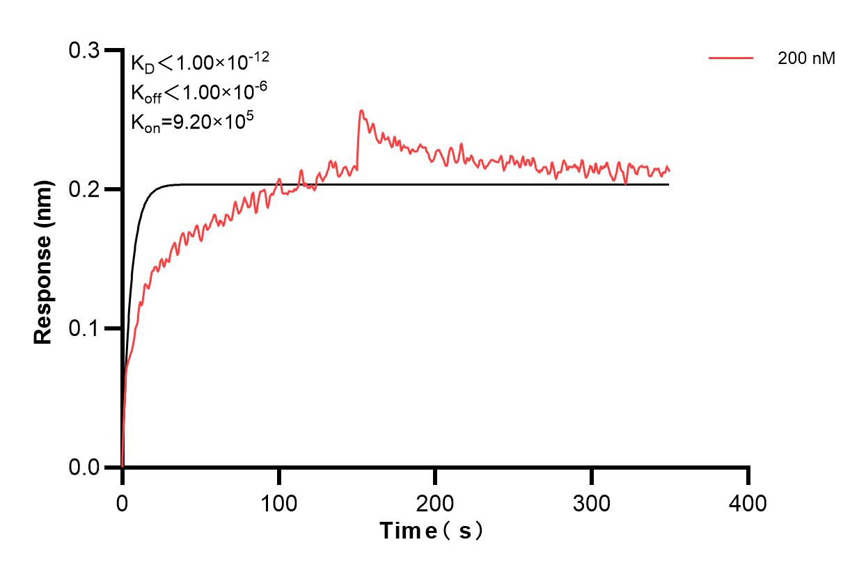 Affinity and Kinetic Characterization of 67129-3-PBS Affinity and Kinetic Characterization of 67129-3-PBS
