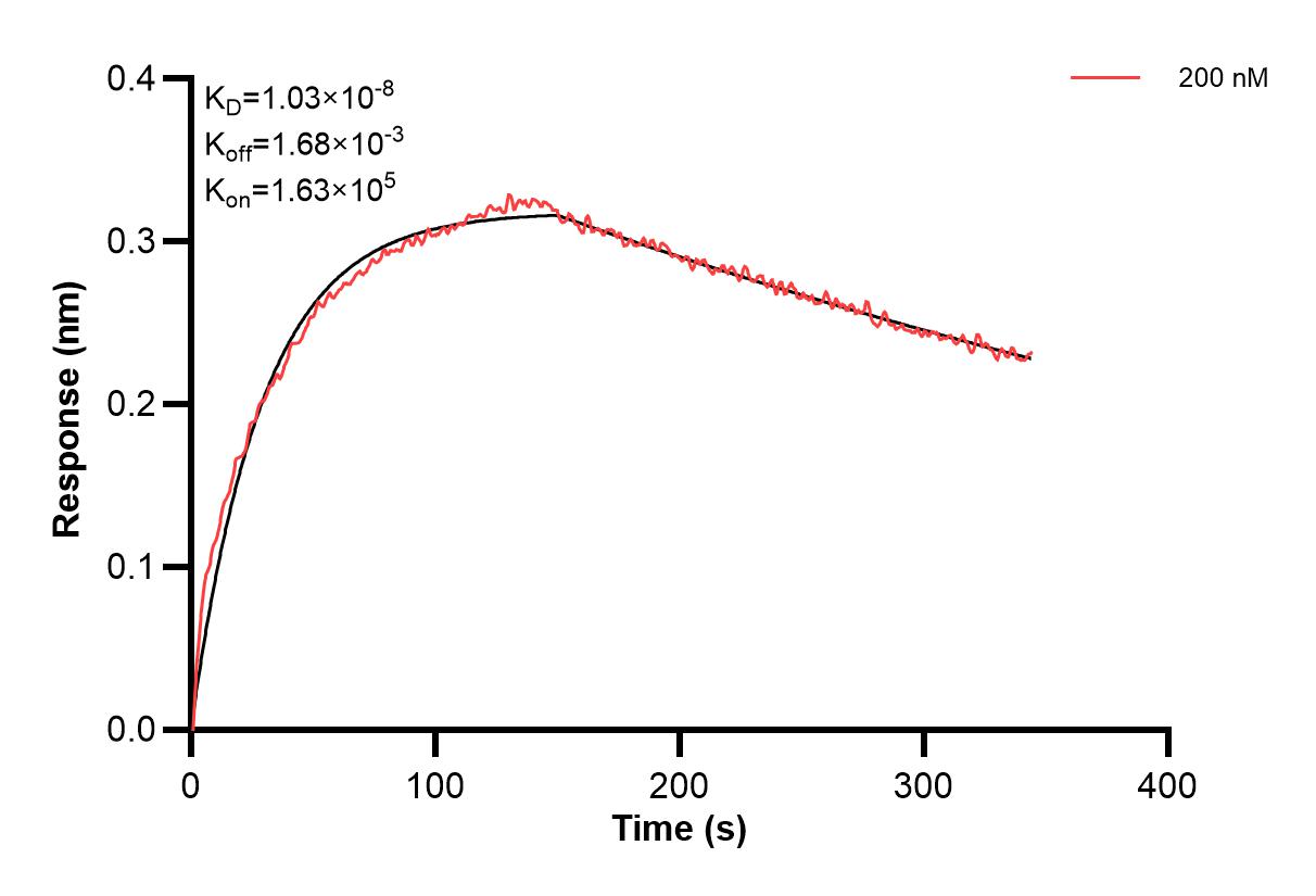 Affinity and Kinetic Characterization of 67130-3-PBS