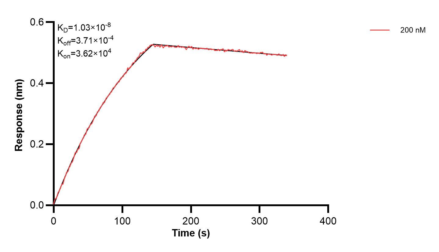 Affinity and Kinetic Characterization of 67216-2-PBS Affinity and Kinetic Characterization of 67216-2-PBS