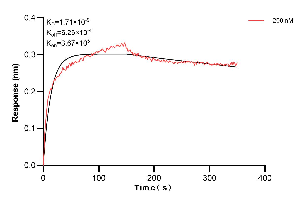 Affinity and Kinetic Characterization of 67244-1-PBS